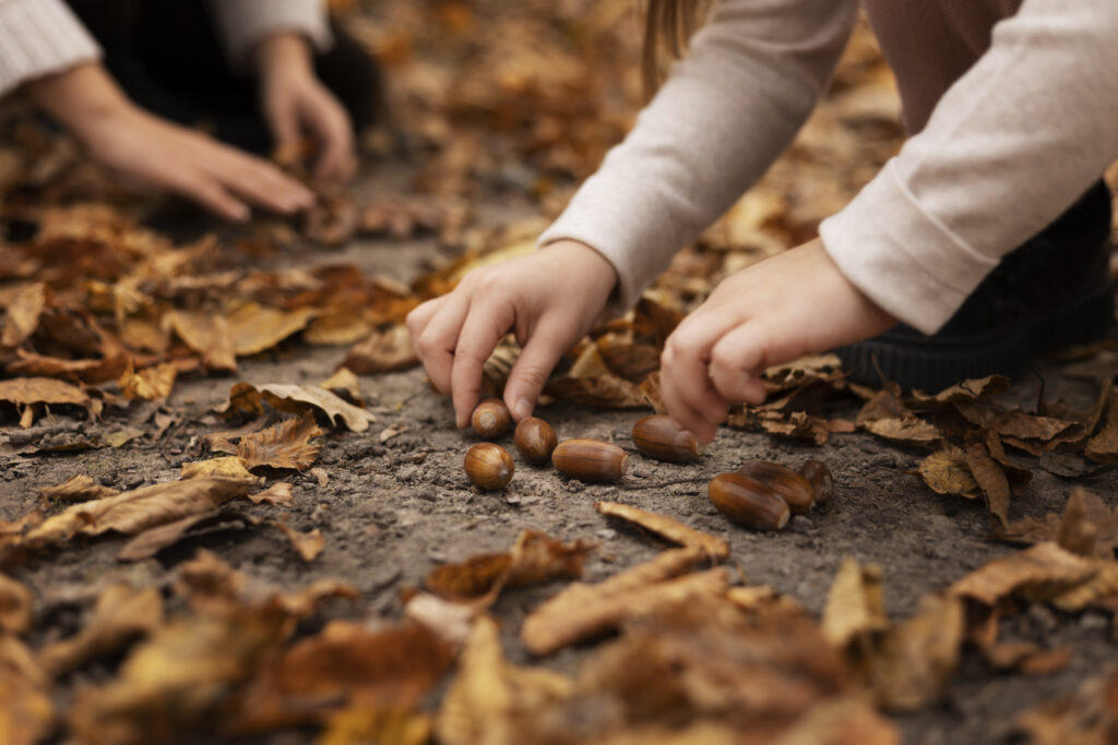 close-up-hands-collecting-chestnuts